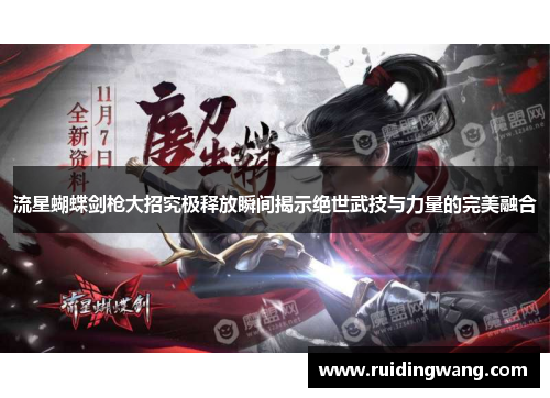 流星蝴蝶剑枪大招究极释放瞬间揭示绝世武技与力量的完美融合