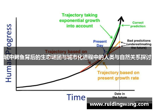 城中鳄鱼背后的生态谜团与城市化进程中的人类与自然关系探讨
