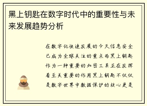 黑上钥匙在数字时代中的重要性与未来发展趋势分析